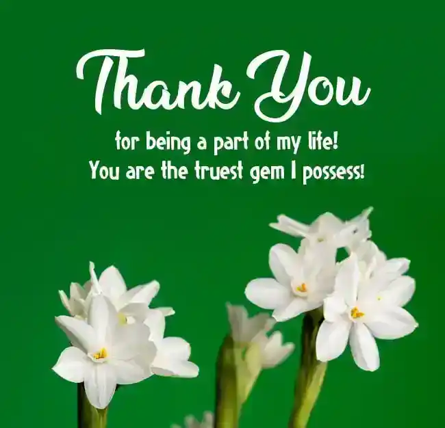 Thank You Messages for Cards