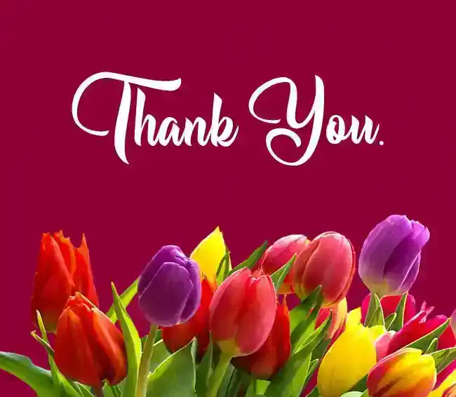 Takbeskeder skrevet på takkekort