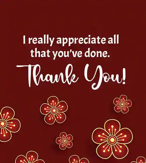 words to say thank you and appreciation