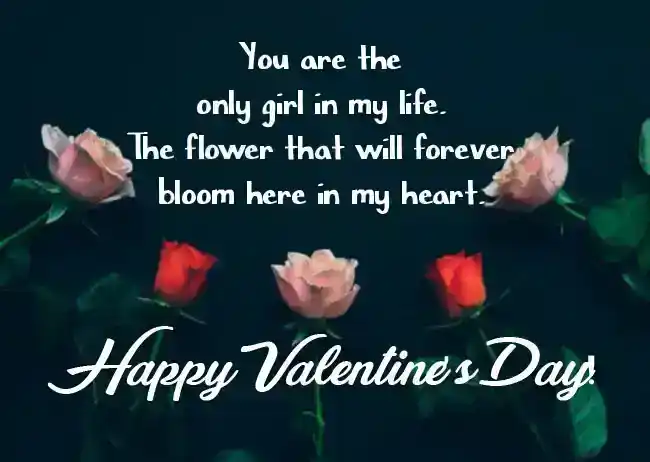 valentine wishes for girlfriend