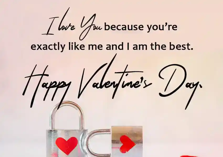 Funny Valentines Day Wishes