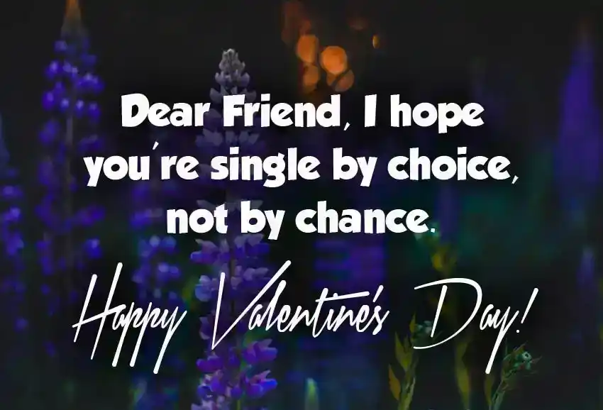 Funny Valentine Wishes for Single Friend