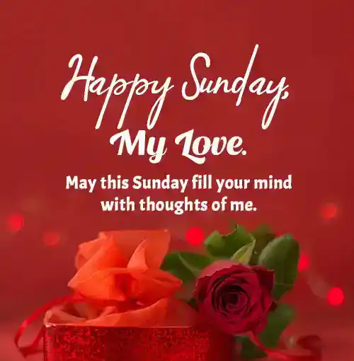 Happy Sunday My Love