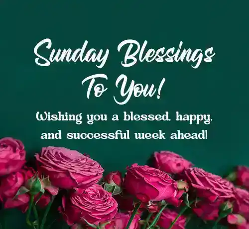 Happy Sunday Blessings